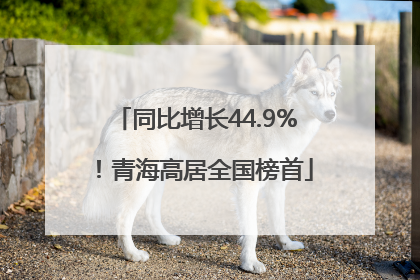 同比增长44.9%！青海高居全国榜首
