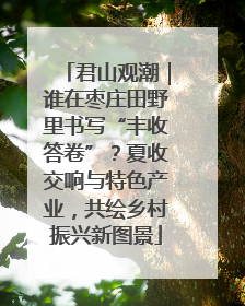 君山观潮｜谁在枣庄田野里书写“丰收答卷”？夏收交响与特色产业，共绘乡村振兴新图景