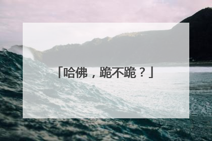 哈佛，跪不跪？