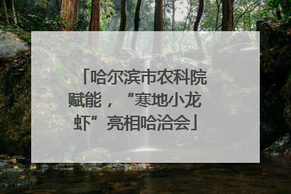 哈尔滨市农科院赋能，“寒地小龙虾”亮相哈洽会