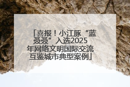 喜报！小江豚“蓝叒叒”入选2025年网络文明国际交流互鉴城市典型案例
