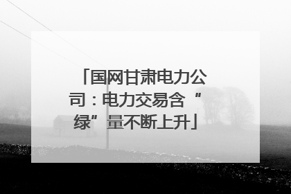 国网甘肃电力公司：电力交易含“绿”量不断上升