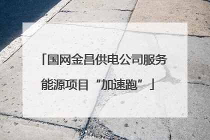 国网金昌供电公司服务能源项目“加速跑”
