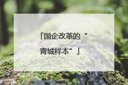 国企改革的“青城样本”