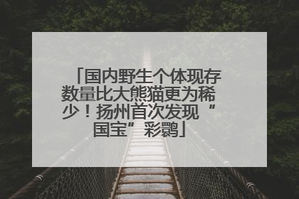 国内野生个体现存数量比大熊猫更为稀少！扬州首次发现“国宝”彩鹮