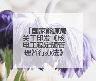 国家能源局关于印发《核电工程定额管理暂行办法》的通知