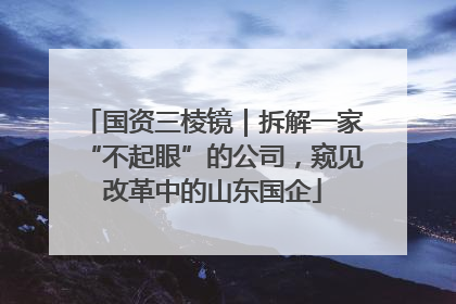 国资三棱镜｜拆解一家“不起眼”的公司，窥见改革中的山东国企