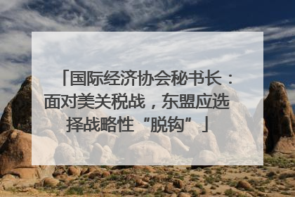 国际经济协会秘书长：面对美关税战，东盟应选择战略性“脱钩”