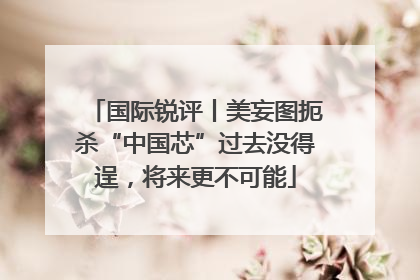 国际锐评丨美妄图扼杀“中国芯”过去没得逞，将来更不可能