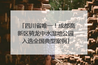 四川省唯一！成都高新区骑龙中水湿地公园入选全国典型案例