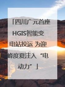 四川广元首座HGIS智能变电站投运 为迎峰度夏注入“电动力”