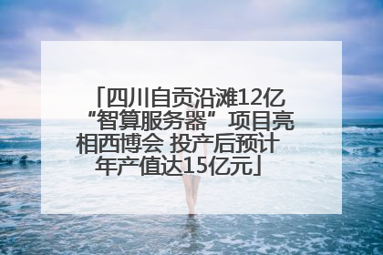 四川自贡沿滩12亿“智算服务器”项目亮相西博会 投产后预计年产值达15亿元