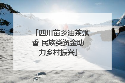 四川苗乡油茶飘香 民族类资金助力乡村振兴