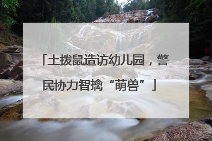 土拨鼠造访幼儿园，警民协力智擒“萌兽”