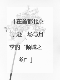 在首都北京，赴一场与月季的“倾城之约”