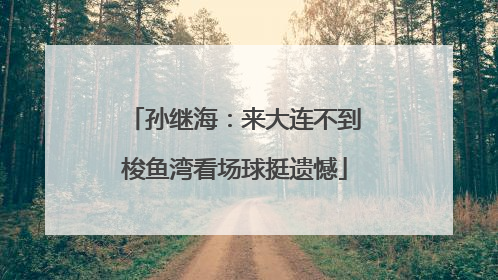 孙继海：来大连不到梭鱼湾看场球挺遗憾