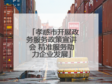 孝感市开展政务服务政策宣讲会 精准服务助力企业发展