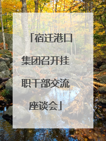 宿迁港口集团召开挂职干部交流座谈会