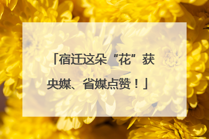 宿迁这朵“花”获央媒、省媒点赞！