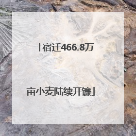 宿迁466.8万亩小麦陆续开镰