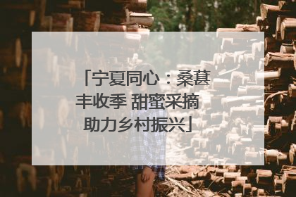 宁夏同心：桑葚丰收季 甜蜜采摘助力乡村振兴