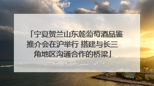 宁夏贺兰山东麓葡萄酒品鉴推介会在沪举行 搭建与长三角地区沟通合作的桥梁