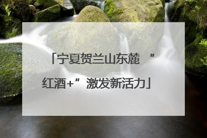 宁夏贺兰山东麓 “红酒+”激发新活力