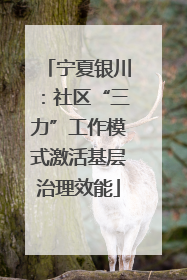 宁夏银川：社区“三力”工作模式激活基层治理效能