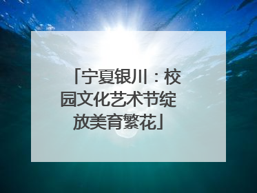 宁夏银川：校园文化艺术节绽放美育繁花