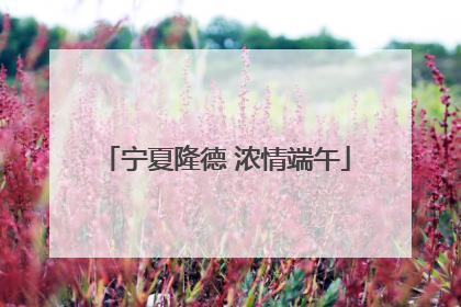 宁夏隆德 浓情端午