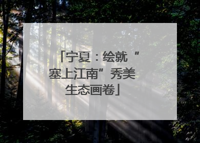 宁夏：绘就“塞上江南”秀美生态画卷