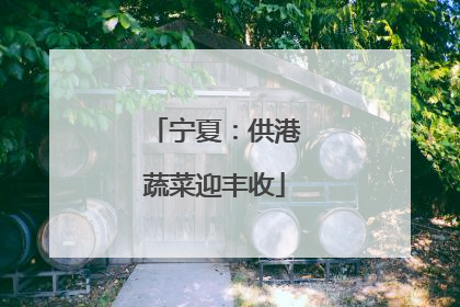 宁夏：供港蔬菜迎丰收