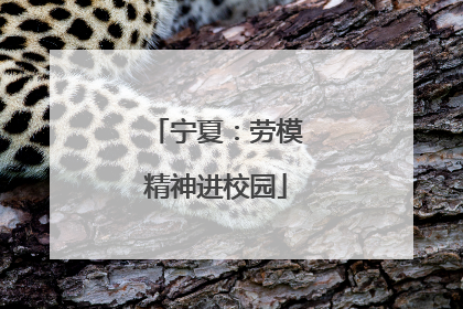 宁夏：劳模精神进校园