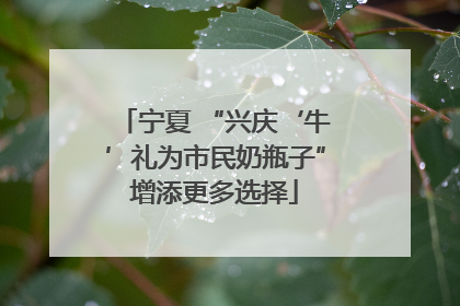 宁夏 “兴庆‘牛’礼为市民奶瓶子”增添更多选择