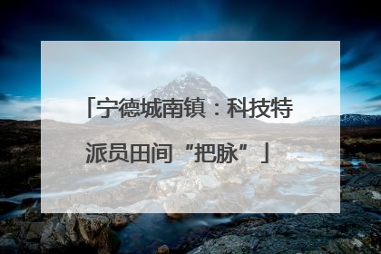 宁德城南镇：科技特派员田间“把脉”