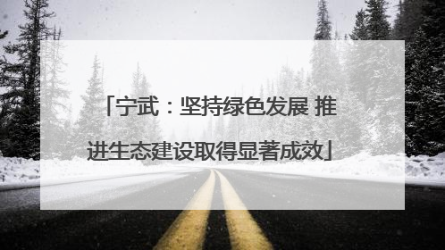 宁武：坚持绿色发展 推进生态建设取得显著成效