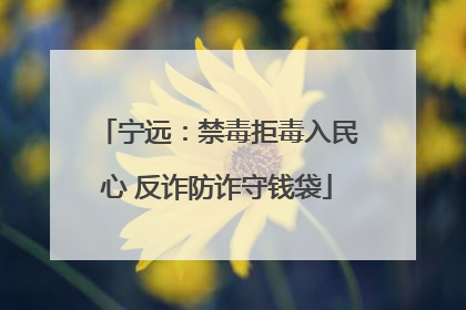 宁远：禁毒拒毒入民心 反诈防诈守钱袋