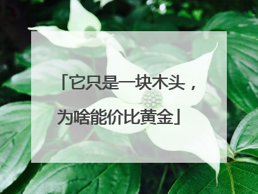 它只是一块木头，为啥能价比黄金