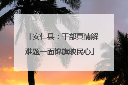 安仁县：干部真情解难题一面锦旗映民心