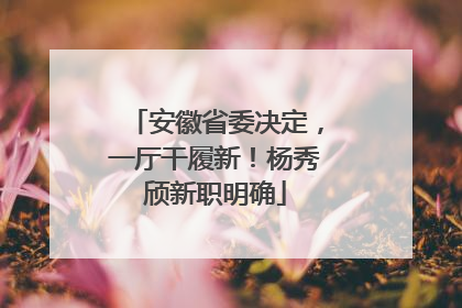 安徽省委决定，一厅干履新！杨秀颀新职明确