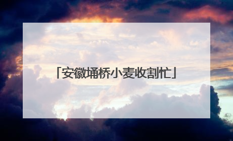 安徽埇桥小麦收割忙