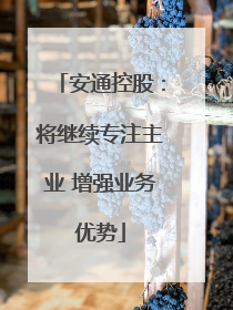 安通控股：将继续专注主业 增强业务优势