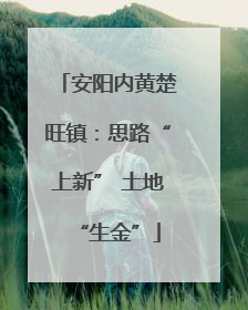 安阳内黄楚旺镇：思路“上新” 土地“生金”