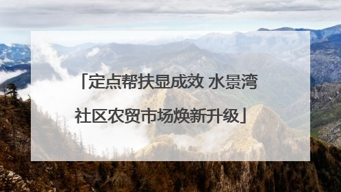 定点帮扶显成效 水景湾社区农贸市场焕新升级