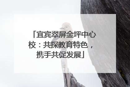 宜宾翠屏金坪中心校：共探教育特色，携手共促发展