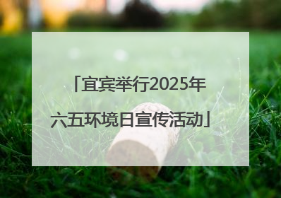 宜宾举行2025年六五环境日宣传活动