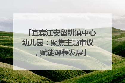 宜宾江安留耕镇中心幼儿园：聚焦主题审议，赋能课程发展