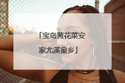 宝岛黄花菜安家尤溪畲乡