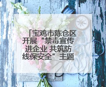 宝鸡市陈仓区开展“禁毒宣传进企业 共筑防线保安全”主题宣传活动