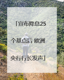宣布降息25个基点后 欧洲央行行长发声